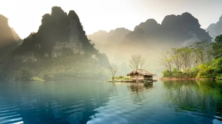 全自动高标准高性能